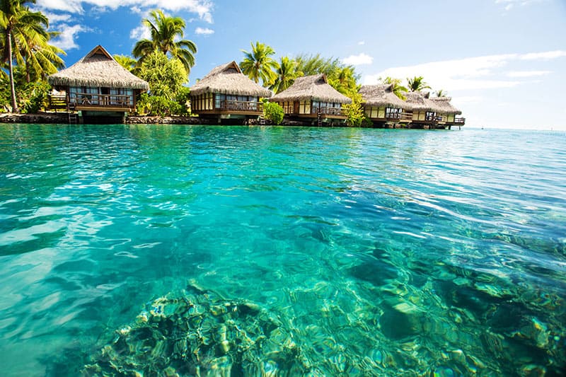 Une croisière au Belize en catamaran, c’est l’assurance d’un dépaysement total et complet. Découvertes incroyables tout au long de la barrière de corail avec des poissons multicolores